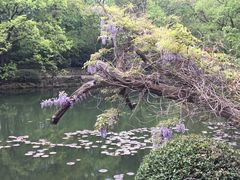 -灵谷景区