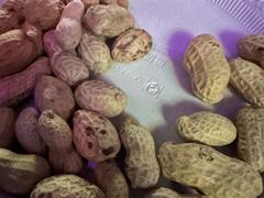 -乐道好声音量贩式KTV(浑南店)