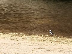 -碓臼峪自然风景区