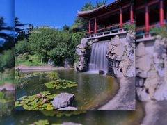 -国家植物园