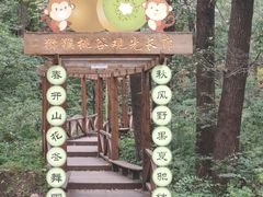 -大岭沟猕猴桃谷风景区