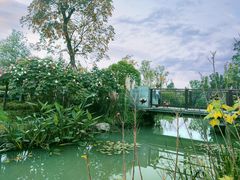 -天府芙蓉园