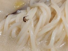-汤去三面(骆驼店)
