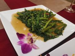 -Daddy Nimman Chiang Mai