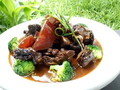 古法焖高山小黄牛肉-日出青木·杭帮菜名店