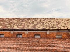 -祝甸砖窑文化馆