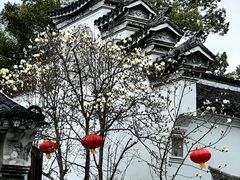-台州府城(东湖)