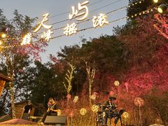 -千岛湖天屿景区