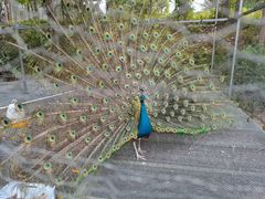 -福建鲤鱼洲酒店