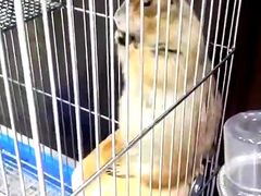 -乐宠宠物店(世纪金源店)