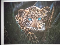 -罗红摄影艺术馆