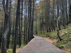 -驼梁风景区
