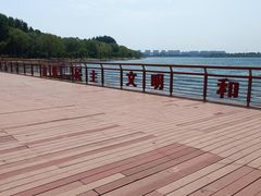 -丁香湖公园