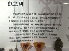 -中国农业大学(西校区)