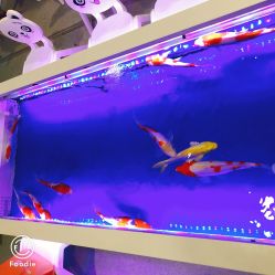 -孩子王(海悦店)
