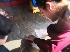 -瑞派雷欧宠物医院·24h夜诊·心脏骨科牙科·全科重症转诊中心(无影山店)