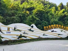 -西双版纳原始森林公园