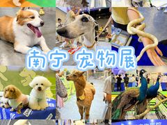 -南宁国际会展中心