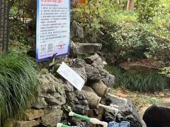 -杭州半山国家森林公园