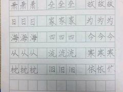-赵汝飞练字硬笔书法(静安寺校区)