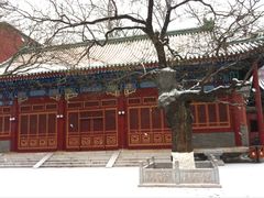 -中央音乐学院歌剧音乐厅