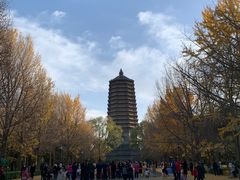 -玲珑塔公园