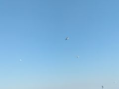 -北戴河东海水浴场