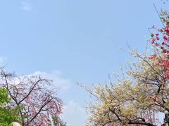 -大理文庙(大理古城)