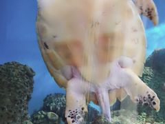 -大明湖海底世界