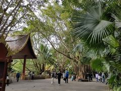 -西双版纳勐泐文化旅游区