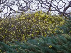 景点-元大都城垣遗址公园