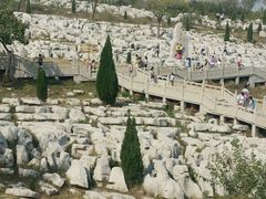 -原山国家森林公园