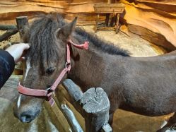 -酷嗒动物文化乐园(cutezoo西溪乐天城店)