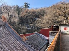 -潭柘寺景区