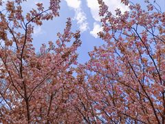 -贵阳市花溪国家城市湿地公园
