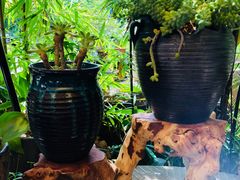 -三峡古玩城(泰古广场店)