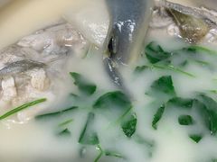 河豚-童福兴·南京菜(老门东店)