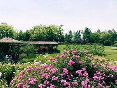 -尚贤河湿地