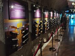 -青岛葡萄酒博物馆