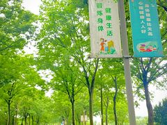 -院士公园
