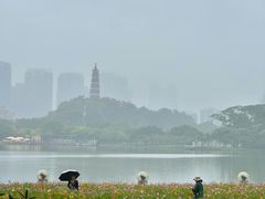 -顺峰山公园
