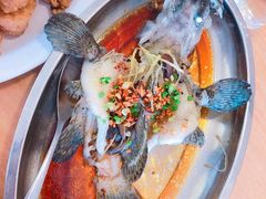 老虎斑-ZF Seafood Restaurant 卓峰海鲜餐