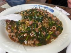 -鲁前海沿儿