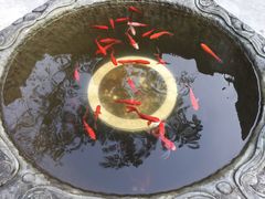 -亦缘居私家别院