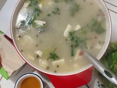 -煲来饱去冷水鱼