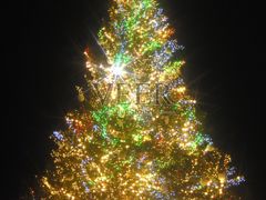 -渔人码头(洛溪店)