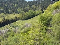 -敬亭山风景名胜区