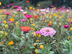 -贵阳市花溪国家城市湿地公园