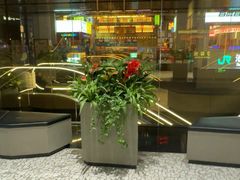 -许家菜(DT51店)