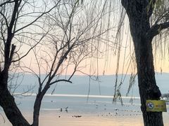 -西昌邛海湿地